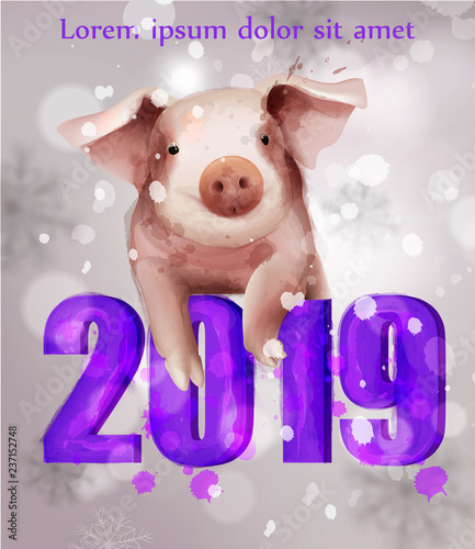 2019 Watercolor Pig year card Vector.Snowy blurry background. Happy New Year ...