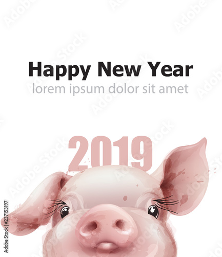 2019 Watercolor Pig year card Vector. Funny pig nose. Snowy blurry background...