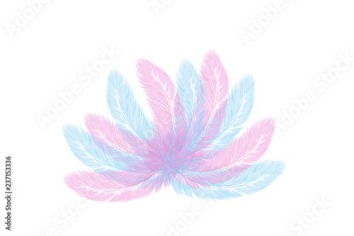 Vector hand drawn line art style feathers for poster, banner, logo, icon. Fluffy feathers on transparent background in realistic style. Lightweight sketch illustration, for patterns, carnival