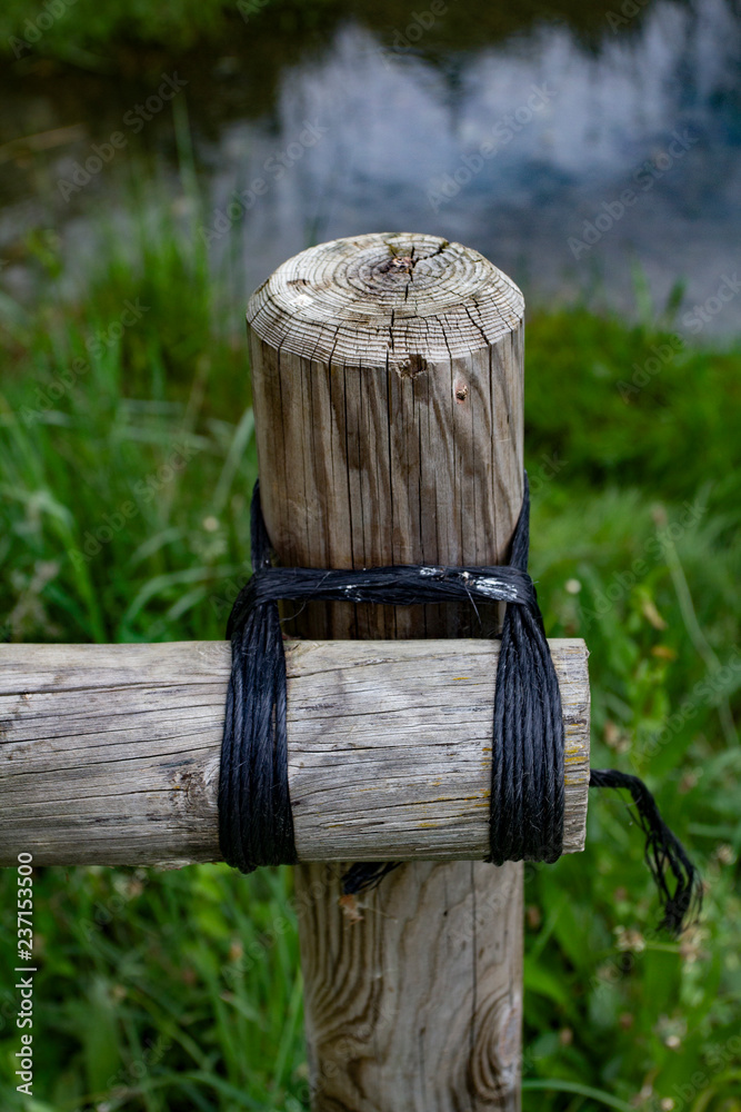 Fototapeta premium wooden sign in a garden