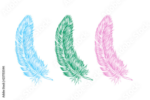 Vector hand drawn line art style feather for poster, banner, logo, icon. Set of colorful fluffy feathers on transparent background in realistic style. Lightweight sketch illustration, for patterns