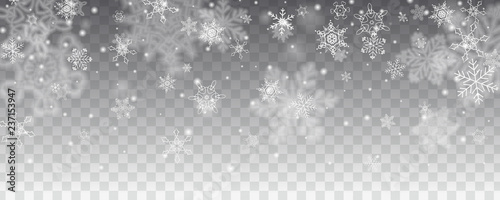 Vector snowfall, snowflakes of various shapes. Many white cold flaky elements on transparent background. White falling fly in the air.