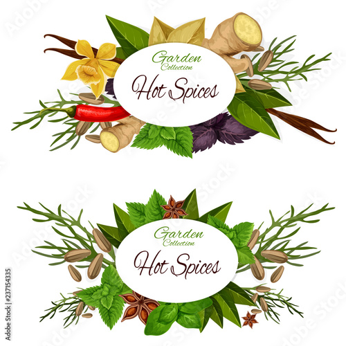 Condiments or seasoning icons of hot spices vector