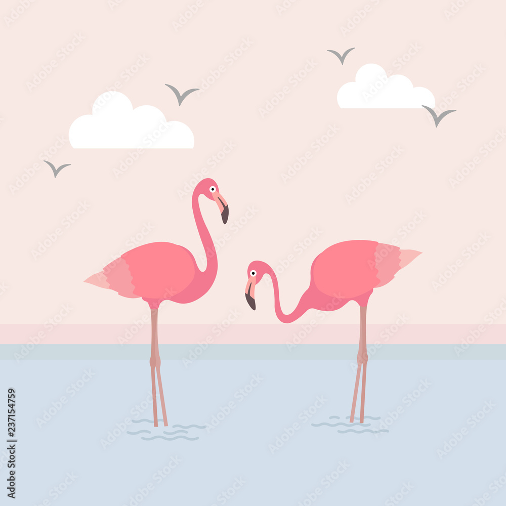 Fototapeta premium This is an image of the flamingo and the beach.