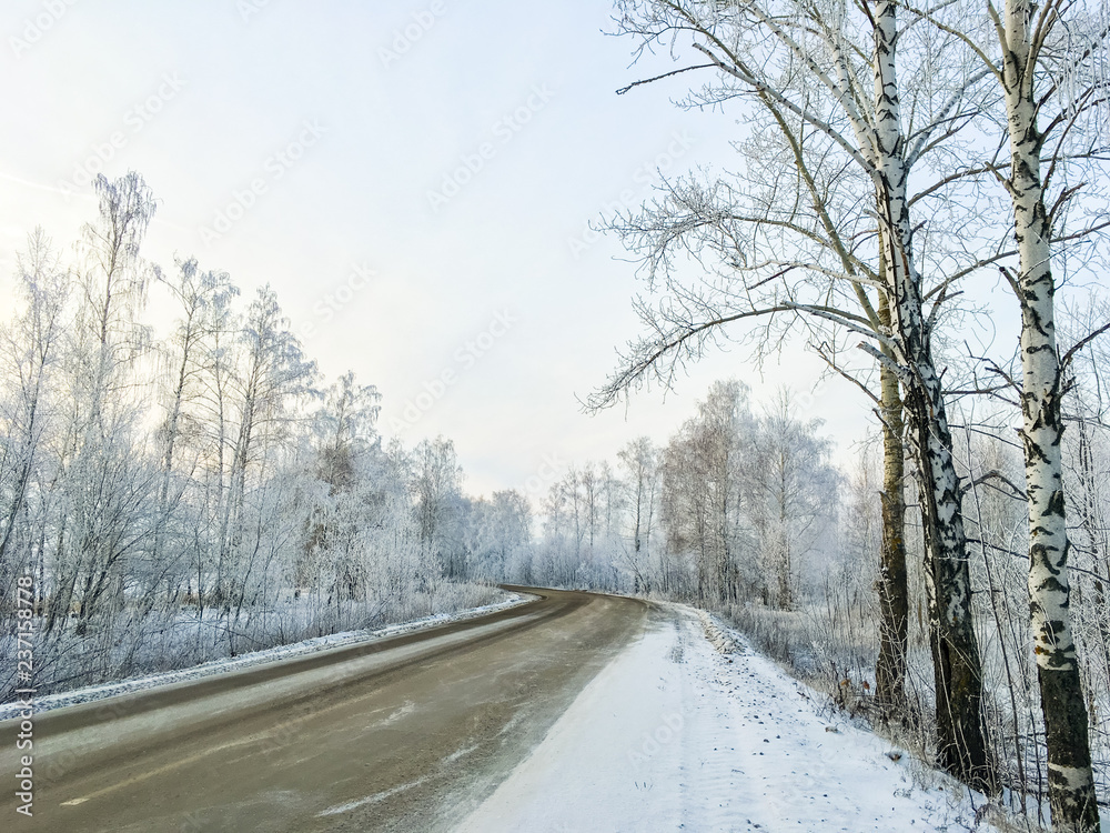 beautiful winter countryside with icy trees xmas