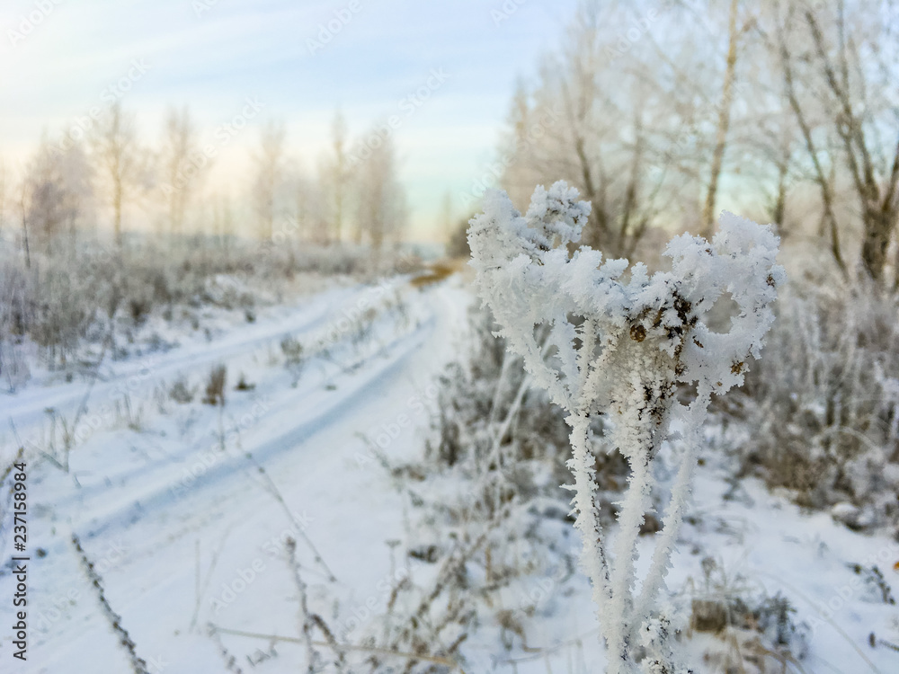 beautiful winter countryside with icy trees xmas beautiful winter countryside with icy trees xmas