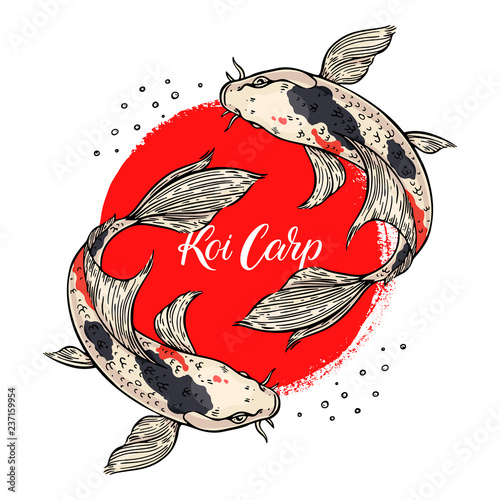 beautiful card of koi carps