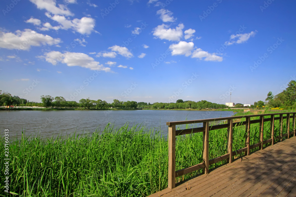 Obraz premium Beautiful scenery of the city