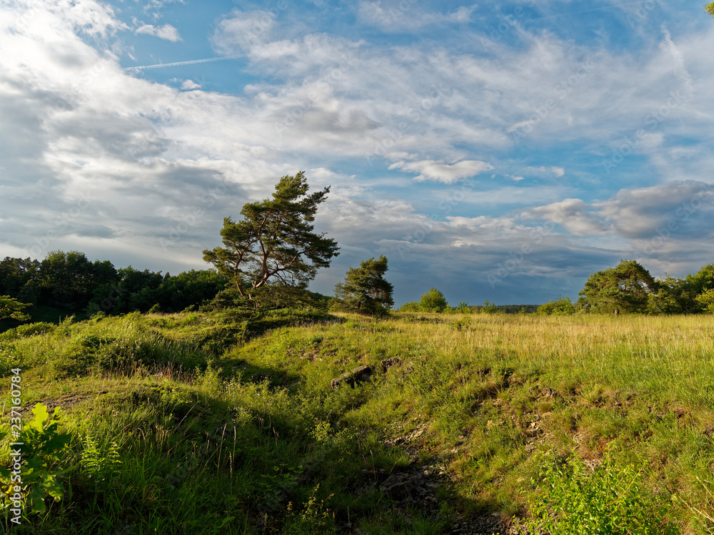 Abend Ÿber dem Naturschutzgebiet Grainberg-Kalbenstein bei Karlstadt, Landkreis Main-Spessart, Unterfranken, Bayern, Deutschland......