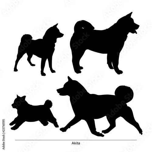 Akita breed dog. Vector silhouette of the dog photo