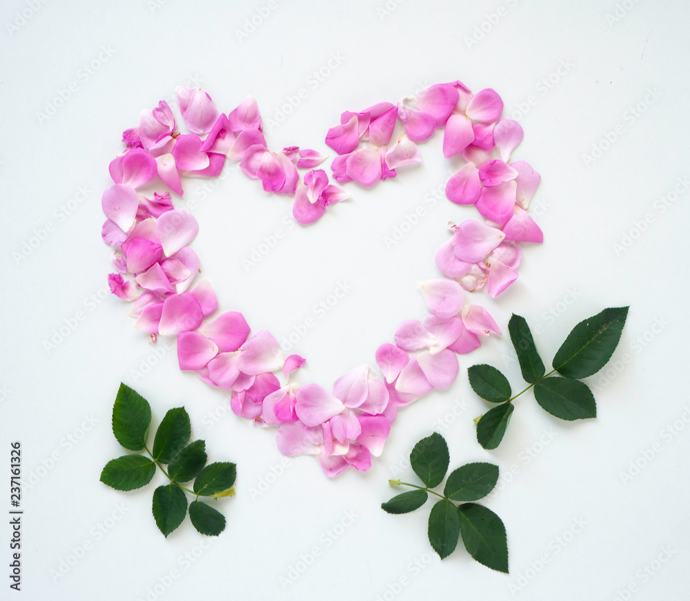 Pink roses petal heart shaped