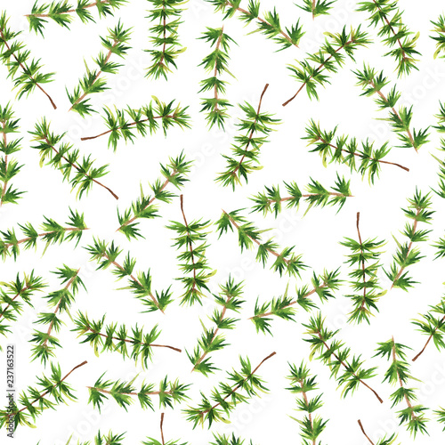 Seamless pattern with green pine branches on white background. Hand drawn watercolor illustration.