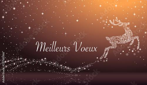 Carte meilleurs voeux