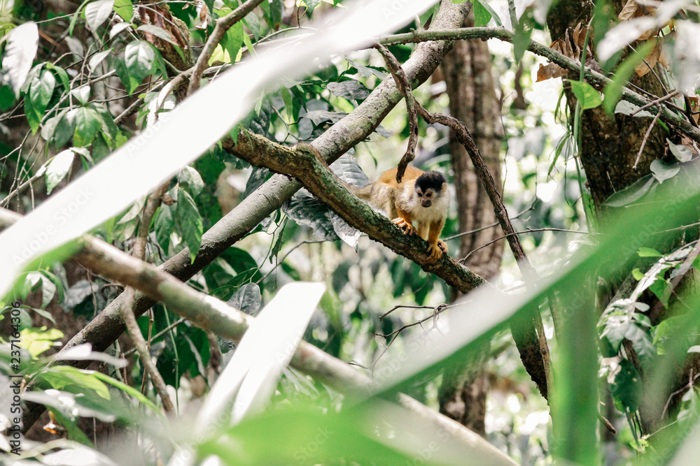 Obraz premium Costa Rica 2016