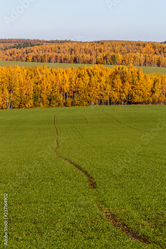 Spassko-Lutovinovo estate