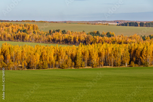 Spassko-Lutovinovo estate