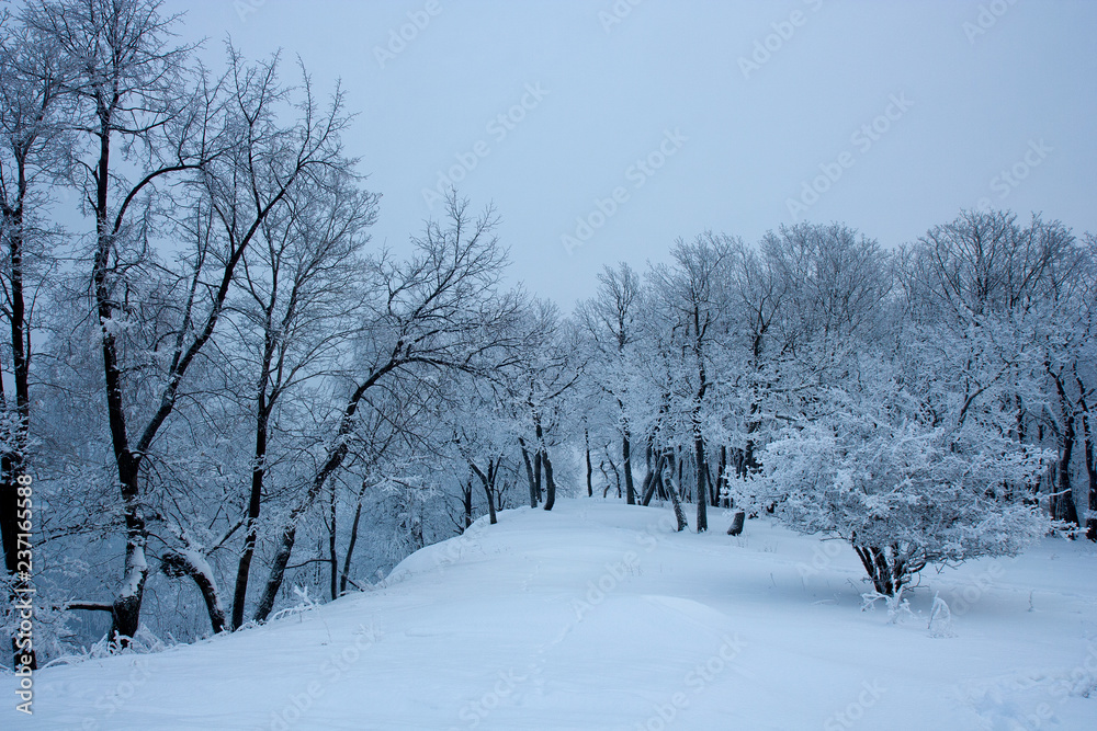 The view on the Volga river and Zhiguli hills near Zhigulevsk city in winter. The view on the Volga river and Zhiguli hills near Zhigulevsk city in winter.