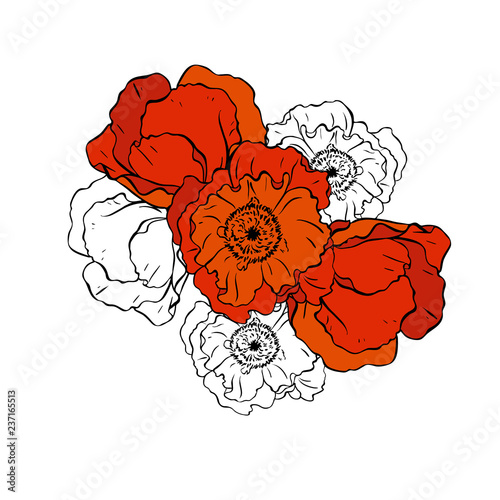 Red and silhouette poppy flowers isolated on white background. Hand drawn vector illustration.