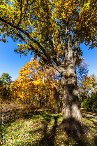 Spassko-Lutovinovo estate