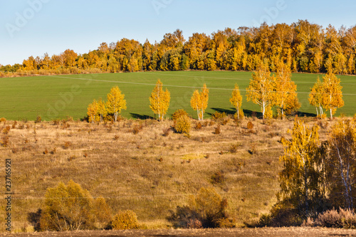 Spassko-Lutovinovo estate