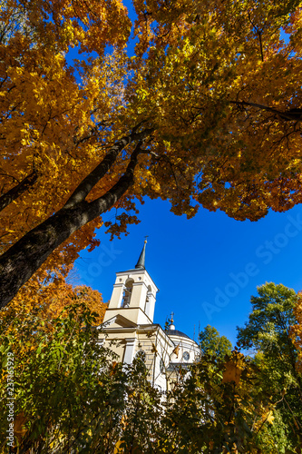 Spassko-Lutovinovo estate