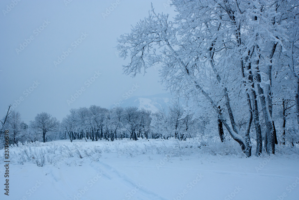 The view on the Volga river and Zhiguli hills near Zhigulevsk city in winter. The view on the Volga river and Zhiguli hills near Zhigulevsk city in winter.
