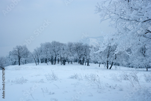 The view on the Volga river and Zhiguli hills near Zhigulevsk city in winter. © Alexander Goy