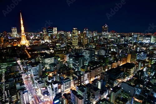 東京の夜景 The night view of Tokyo