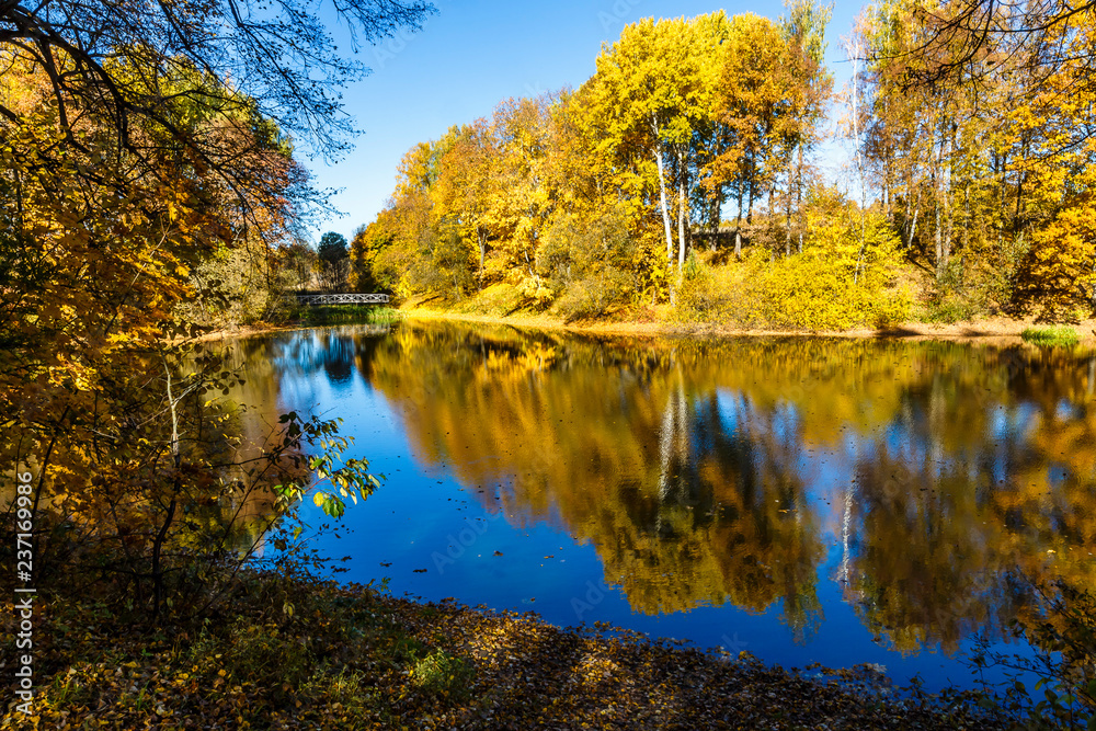 Spassko-Lutovinovo estate