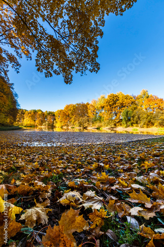 Spassko-Lutovinovo estate