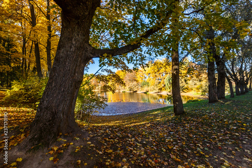 Spassko-Lutovinovo estate
