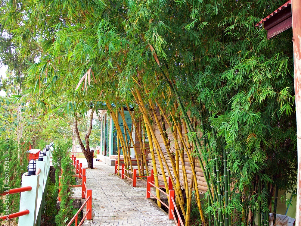 The cement walkway with red corridor and bamboo in Nan, Thailand