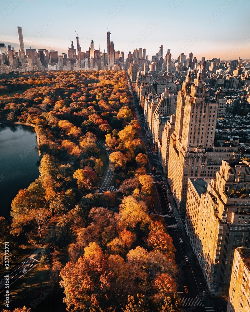 Central Park Fall - obrazy, fototapety, plakaty 