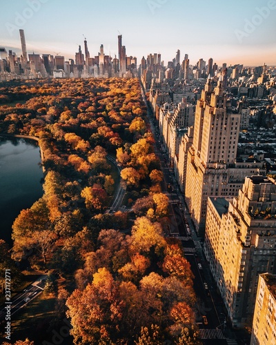 Stampa su tela Central Park Fall