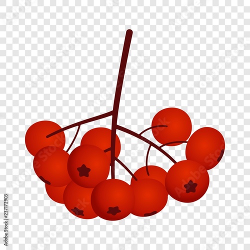 Rowan icon. Flat illustration of rowan vector icon for web design