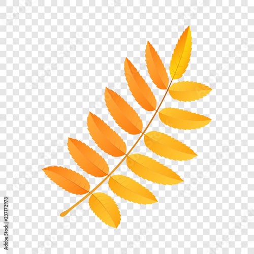 Rowan leaf icon. Flat illustration of rowan leaf vector icon for web design