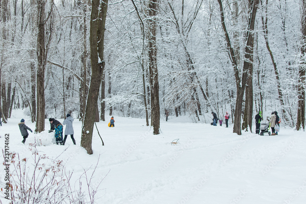 People with children walking in a snowy park in winter. People with children walking in a snowy park in winter.