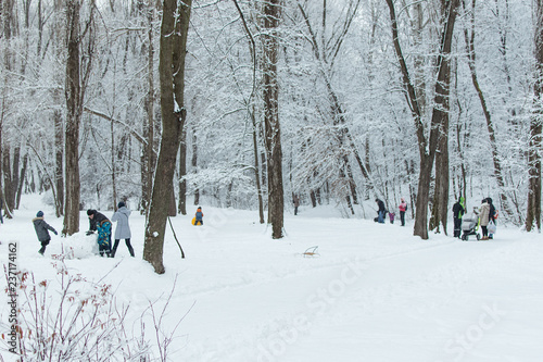 People with children walking in a snowy park in winter.