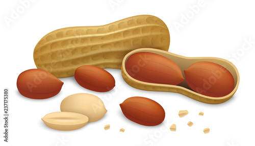 Peanut icon set. Realistic set of peanut vector icons for web design