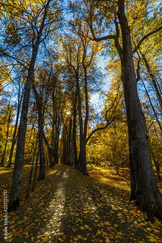 Spassko-Lutovinovo estate