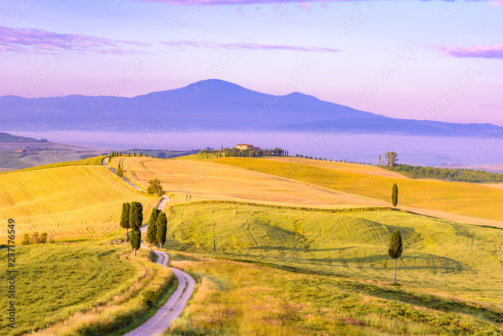 Landscape scenery early in the morning at Pienza in Val d’Orcia, Tuscany in Italy, with cypresses trees and green field with beautiful colors on summer day, travel destination in Europe