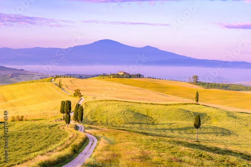 Landscape scenery early in the morning at Pienza in Val d   Orcia  Tuscany in Italy  with cypresses trees and green field with beautiful colors on summer day  travel destination in Europe