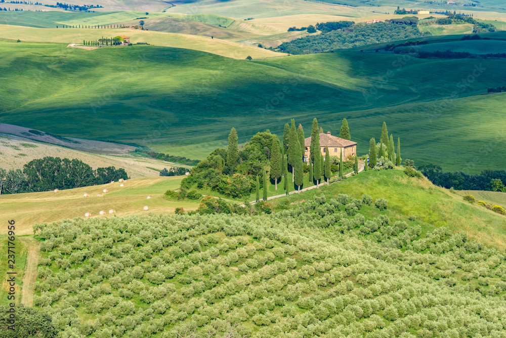 Landscape scenery early in the morning at Pienza in Val d’Orcia, Tuscany in Italy, with cypresses trees and green field with beautiful colors on summer day, travel destination in Europe