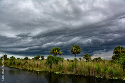 Wallpaper Mural Dark thunder clouds and dramatic storms fill the sky over the swamp in Big Cypress, Florida Torontodigital.ca