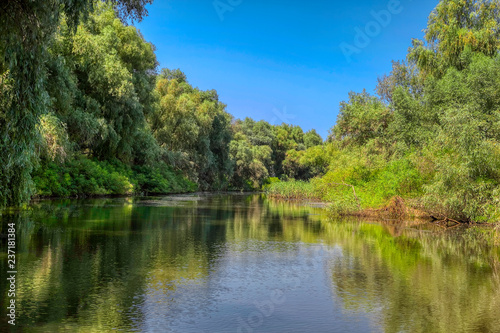 Danube canal with green trees and vegetation 