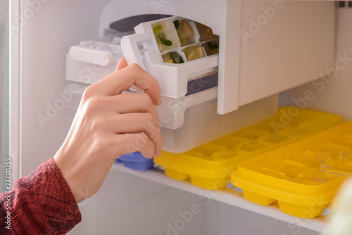 Woman putting tray with citrus fruits frozen in ice cubes into refrigerator