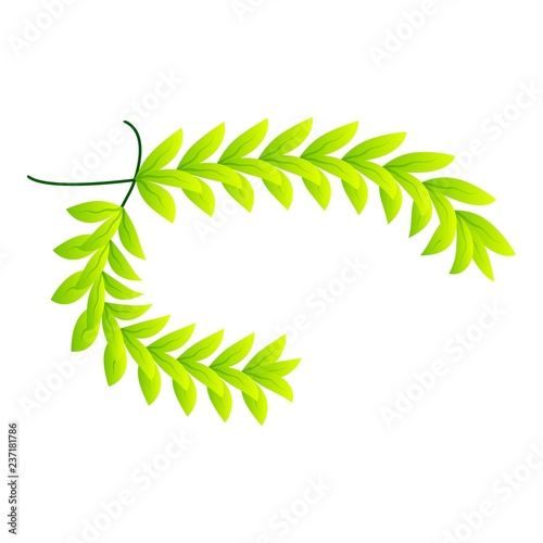 Green laurel icon. Isometric of green laurel vector icon for web design isolated on white background