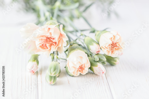 Pastel carnation flowers on a light background. Copy space