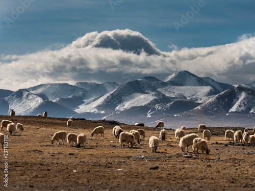 View from Tibet (China) © Niyada