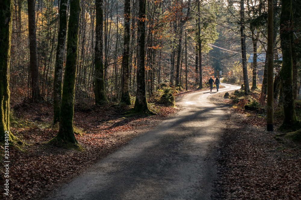 Obraz premium Herbstsonne